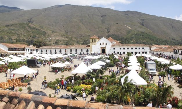 XXIX Festival de Árbol 2019 en Villa de Leyva
